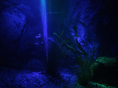 Светодиодная подсветка аквариумов