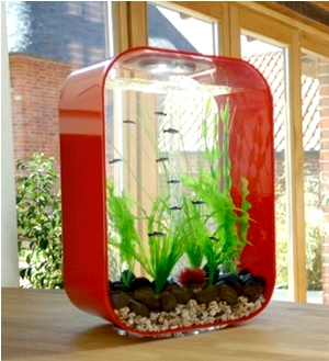 Как выбрать аквариум и куда поставить аквариум в квартире