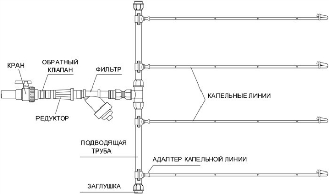 Капельное орошение